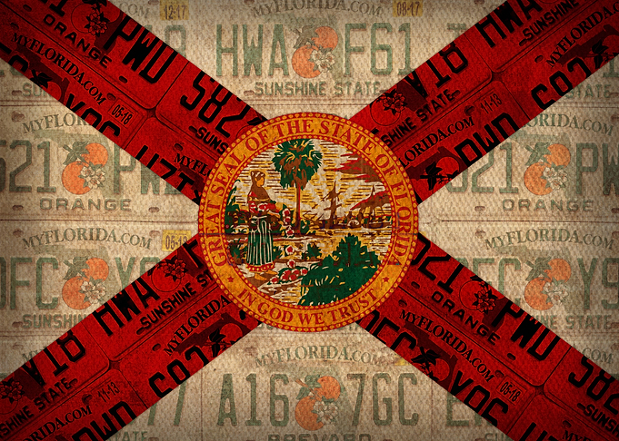 Florida State Flag License