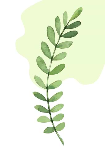 Tropical Leaf