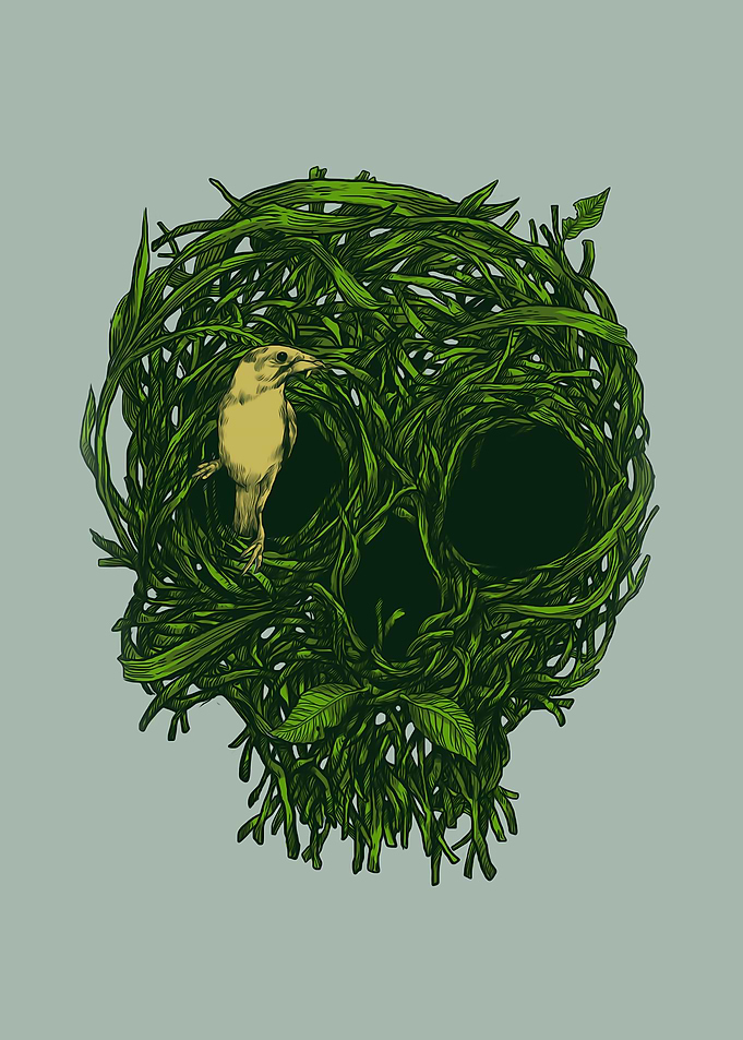 Skull nest
