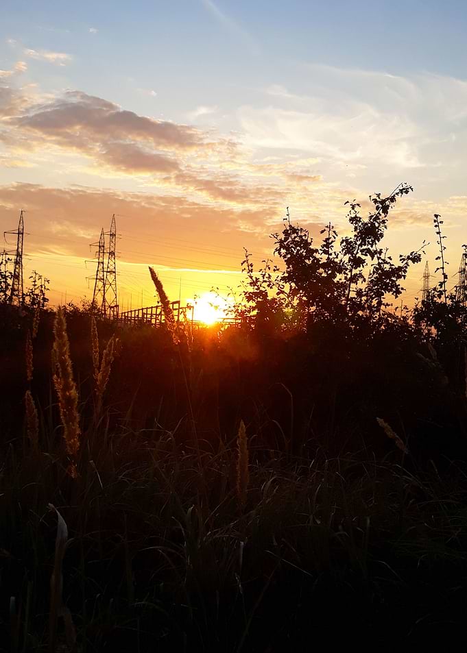 Nature at rest
