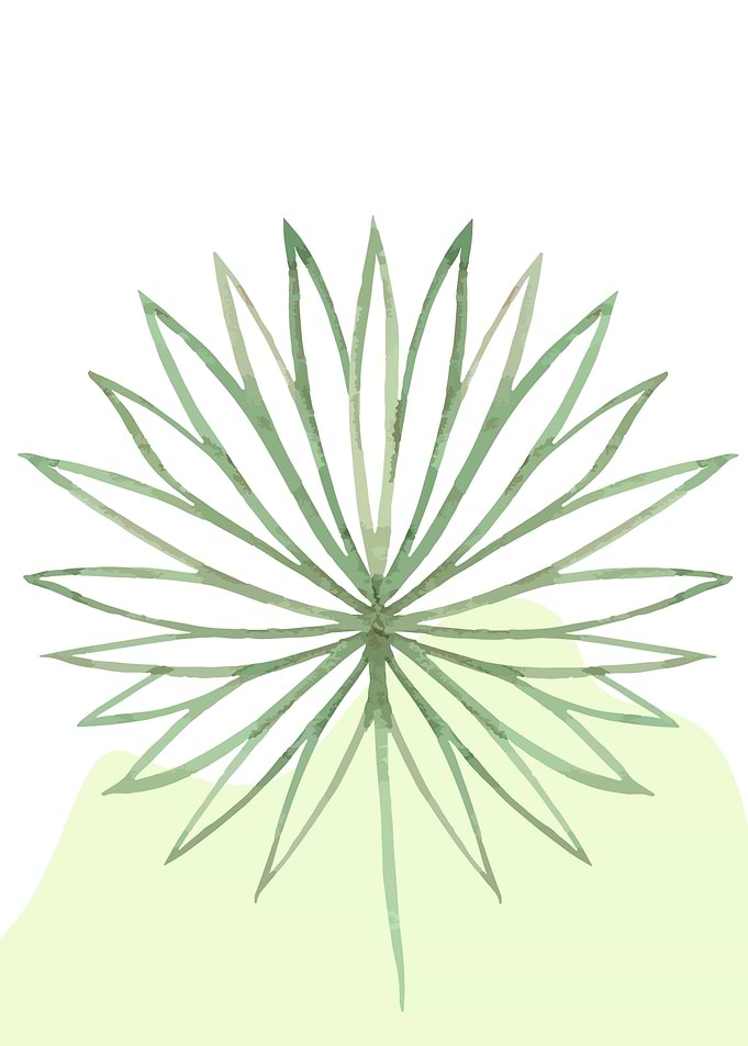 Tropical Flower