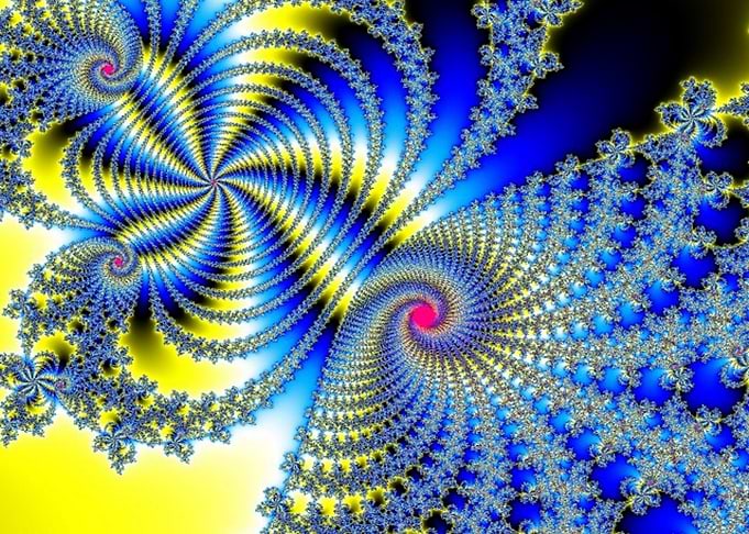 Spaceflower