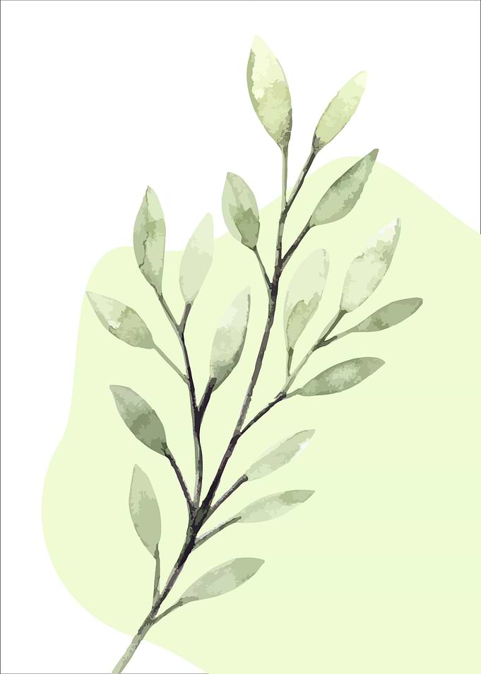 Tropical Leaf
