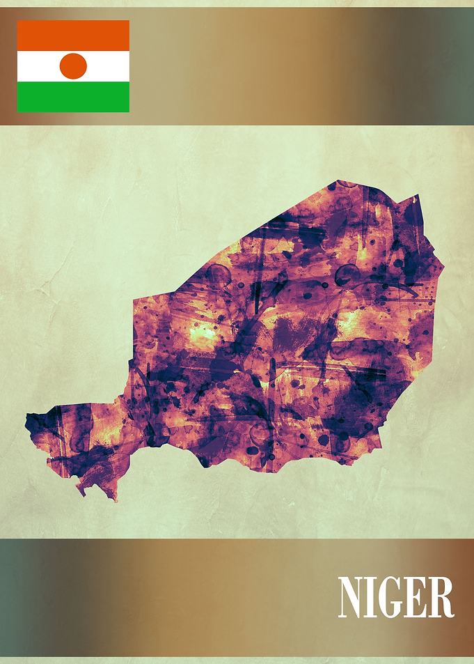 Niger Map with Flag