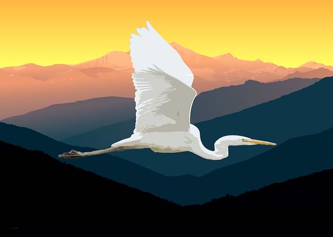Bird in the Flight