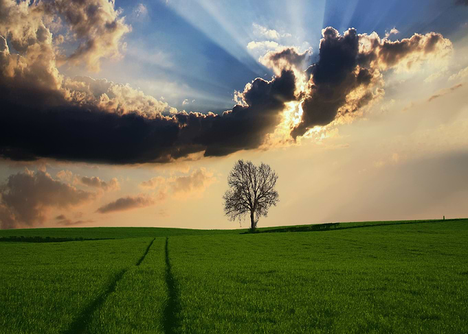 Countryside