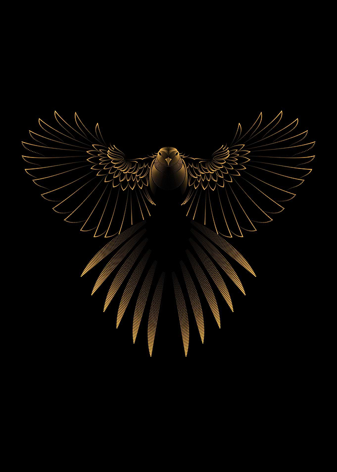 BIRD WINGS OPEN FLYING