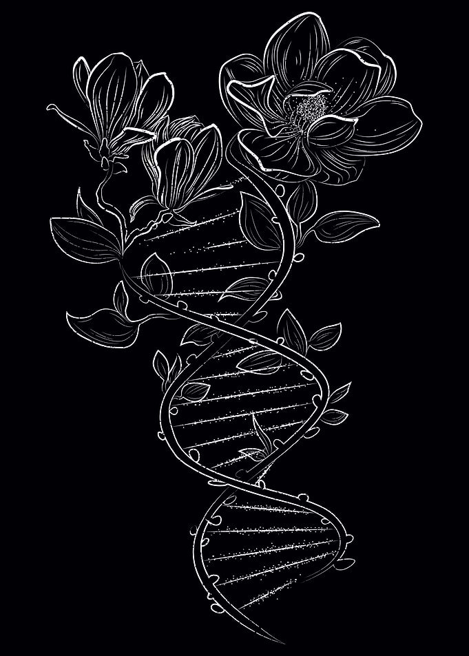 Magnolia Dna
