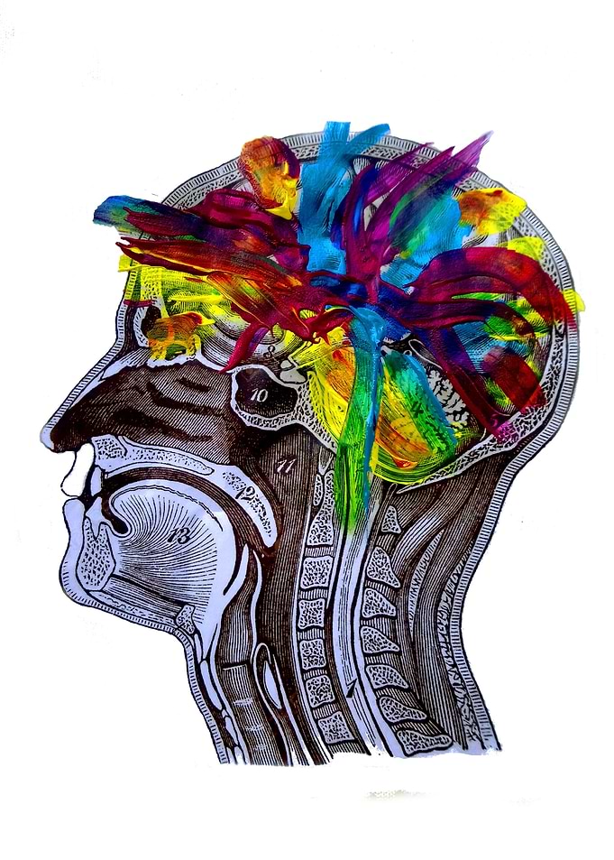 Axial anathomy