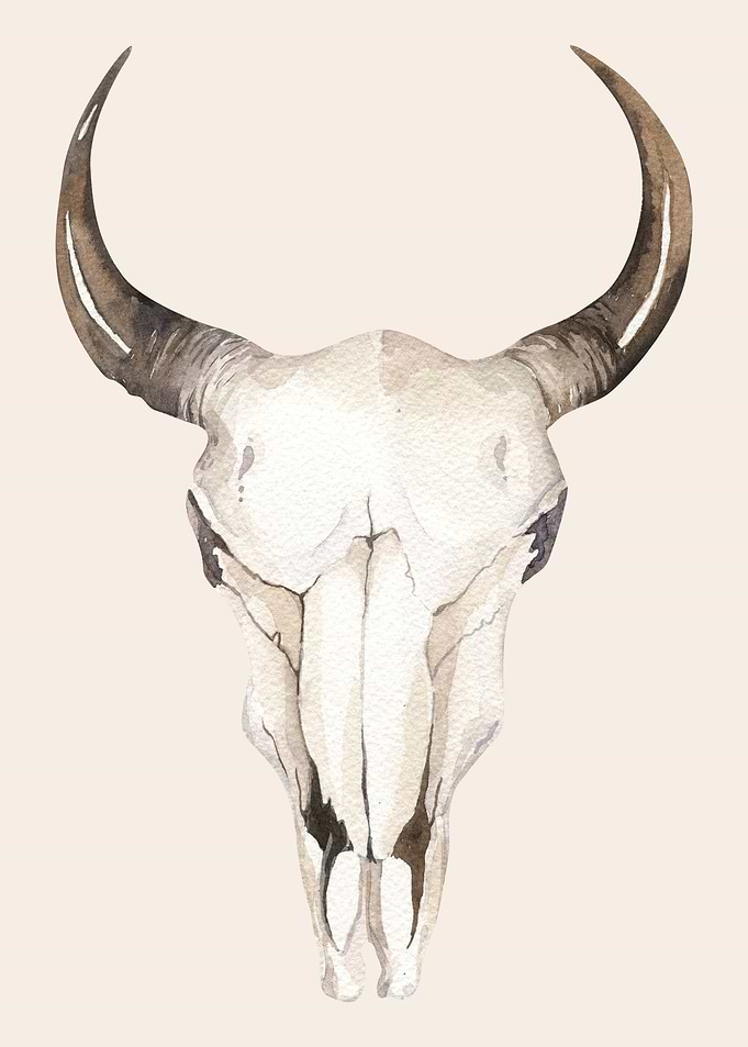BOHO ETHNIC ANIMAL SKULL