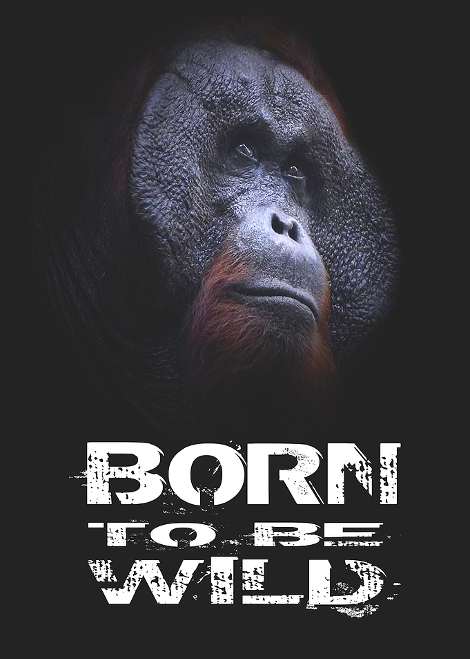 Born To Be Wild