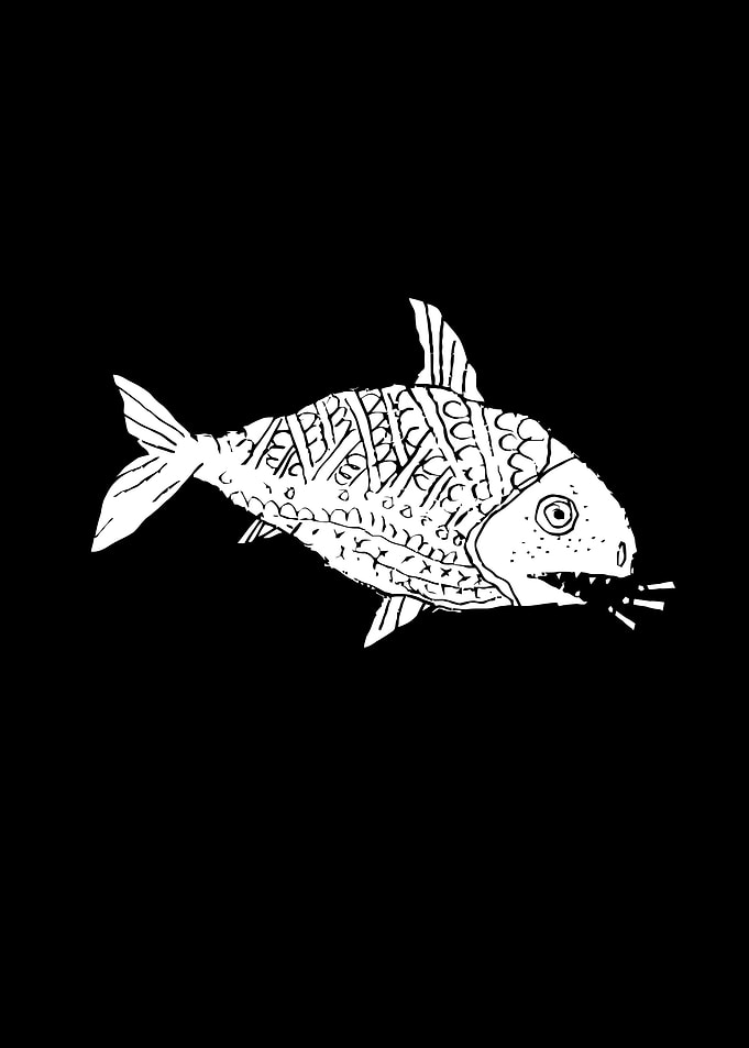 Rare Talking Fish