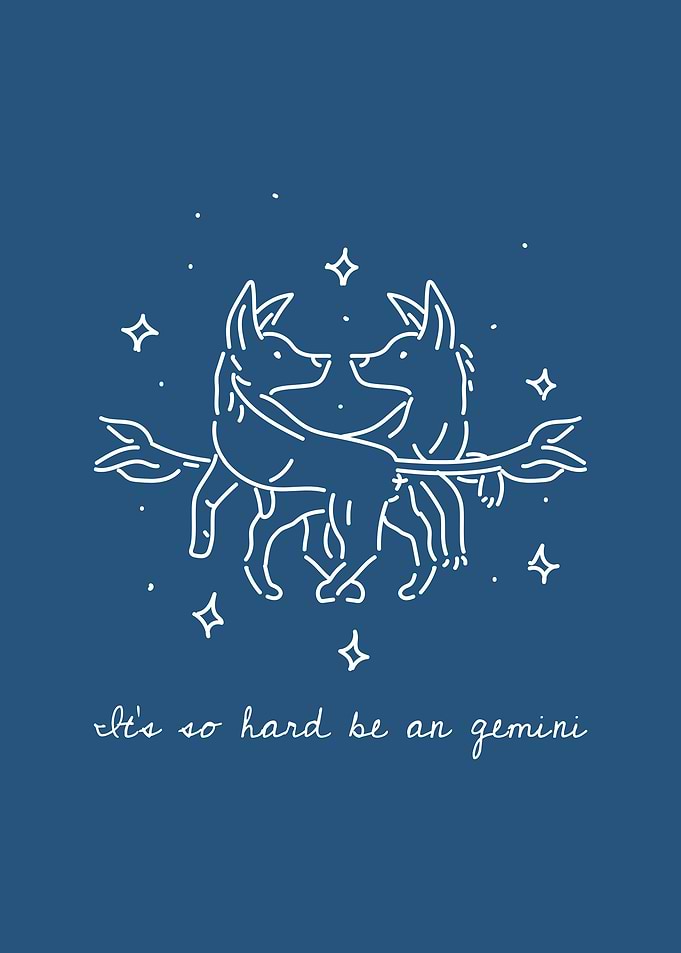 Gemini Zodiac Signs