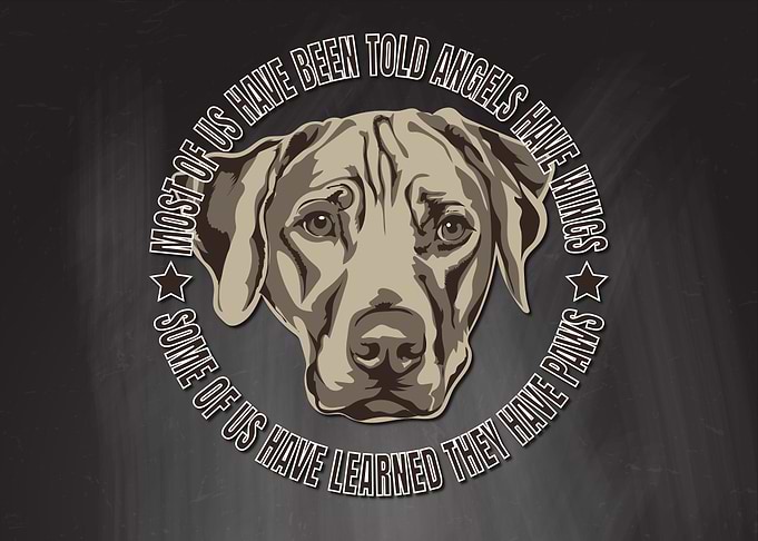 Rhodesian Ridgeback