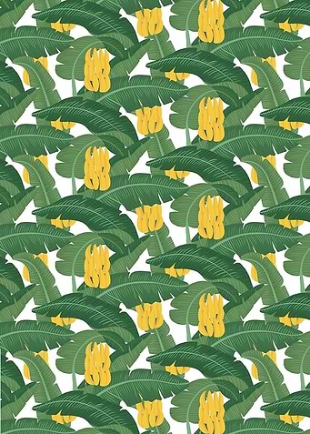 Bananas and Leaves