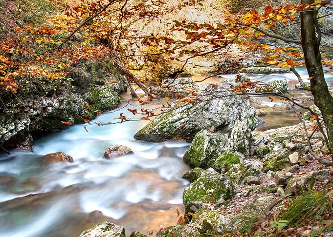 vintgar klamm slovenia