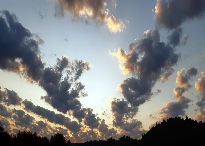 August Sunrise