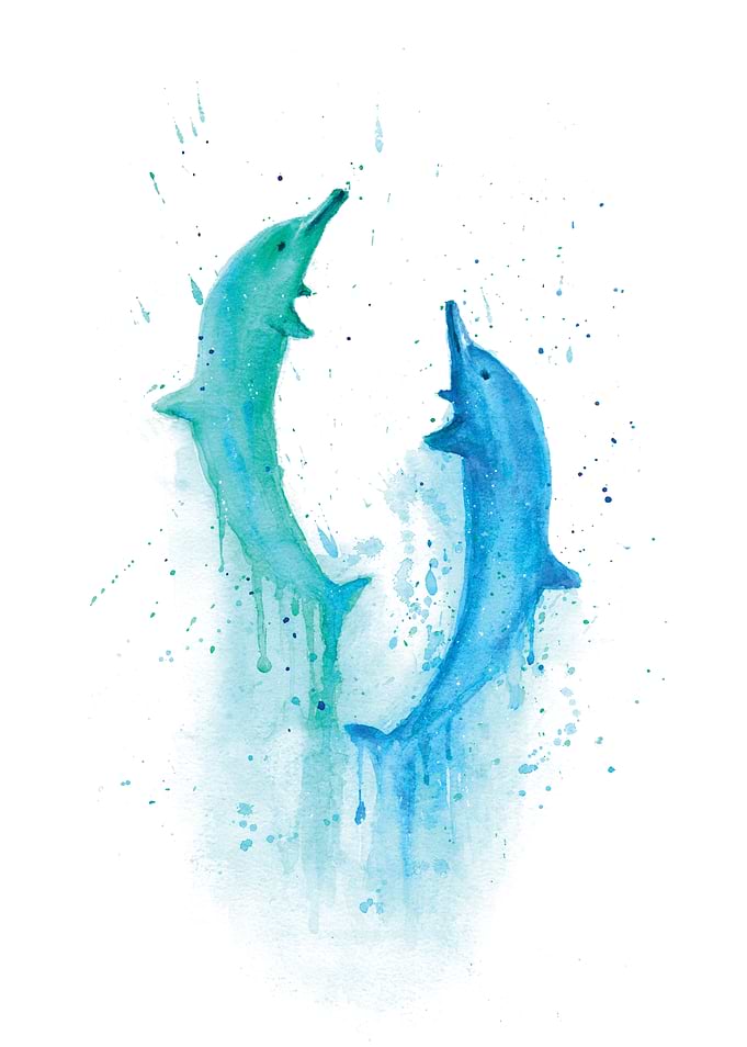 Dolphins