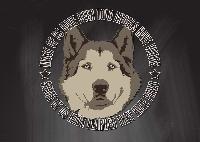 Paws Alaskan Malamute