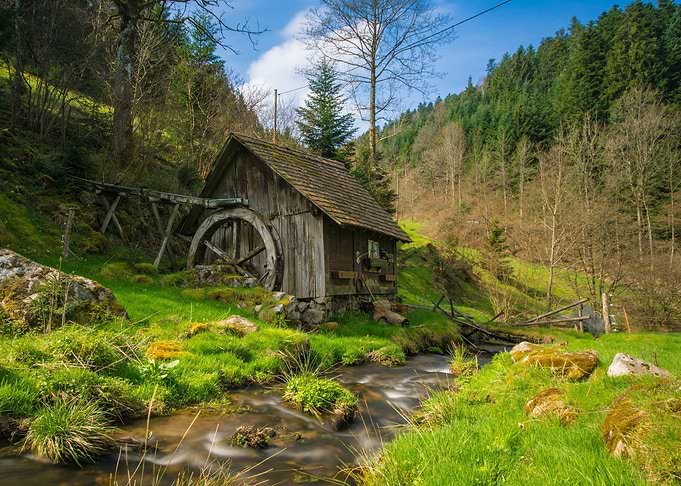 A stream in the forest