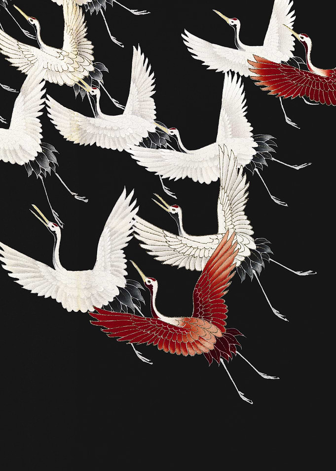 Flying Cranes