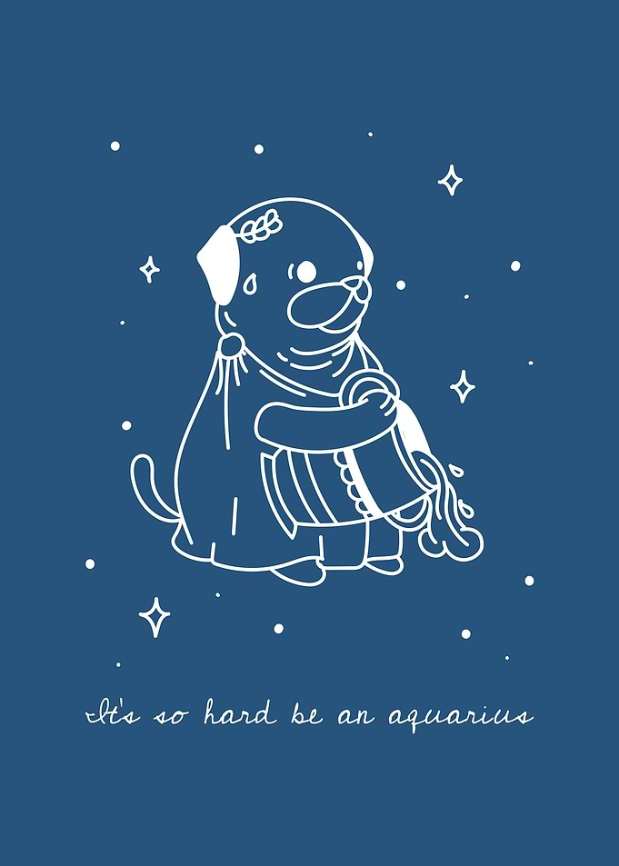 Aquarius Zodiac Signs