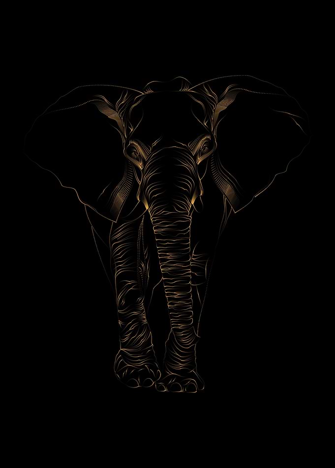 ELEPHANT AFRICAN ANIMALS