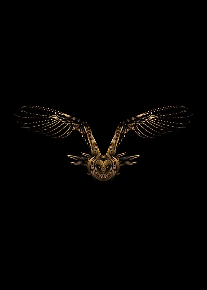 FLYING BIRD AWESOME WINGS