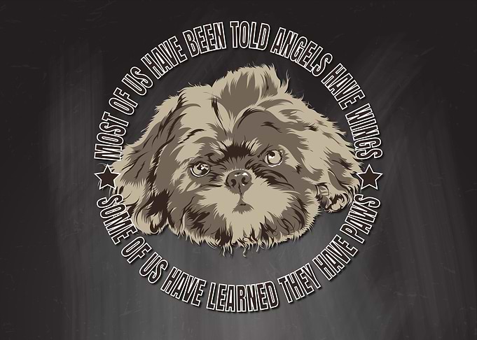Angels Have Paws Shihtzu