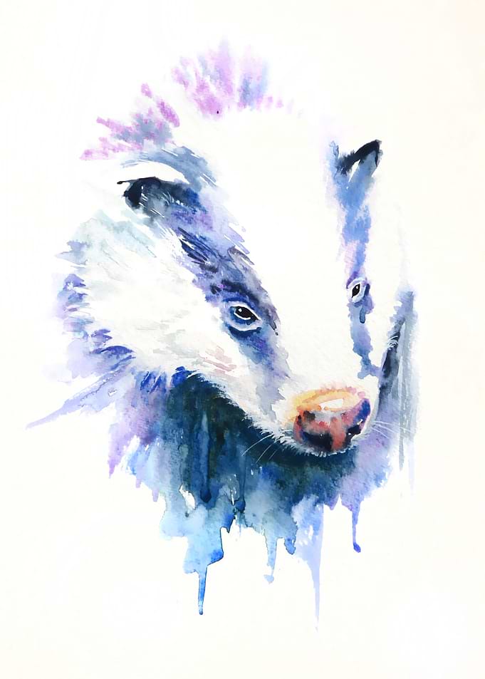 Brock Badger Study