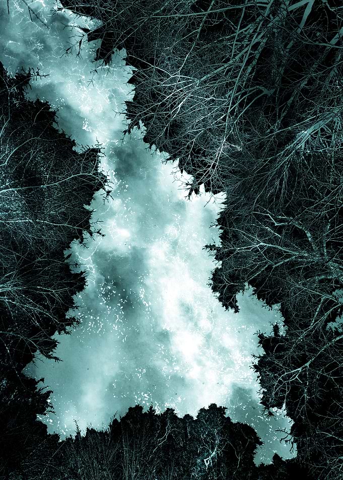 Island in the Woods
