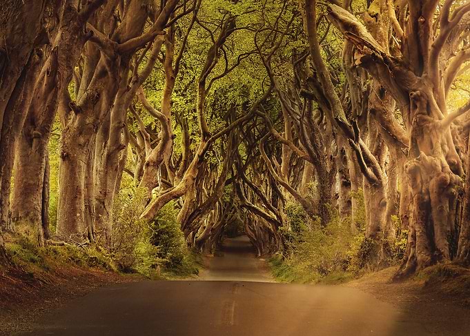 Northern Ireland
