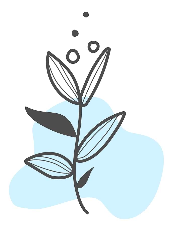Hand Drawn Plant