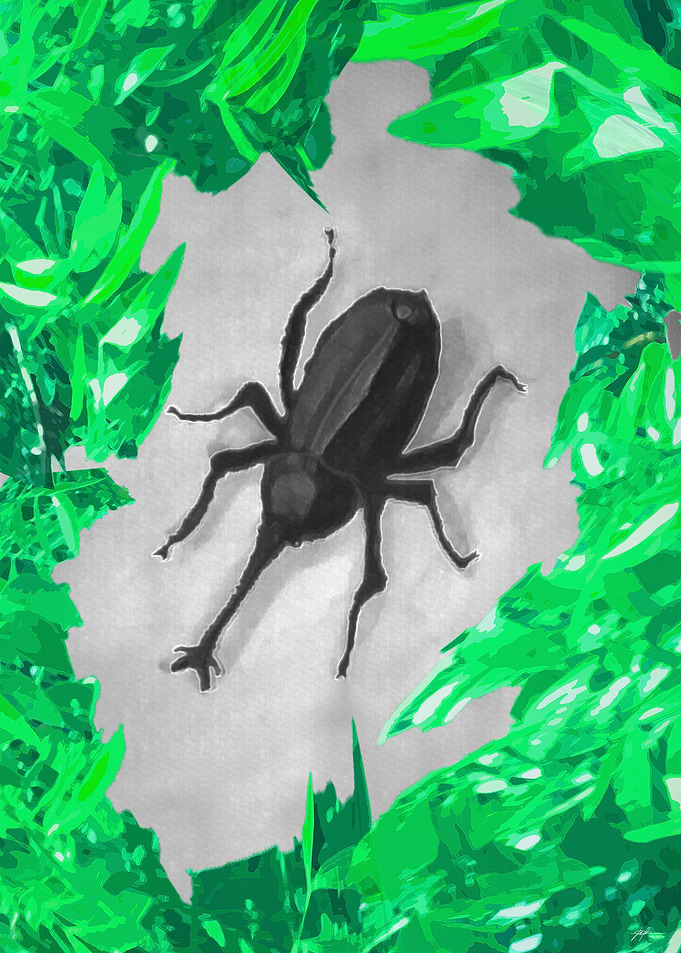 The Beetle