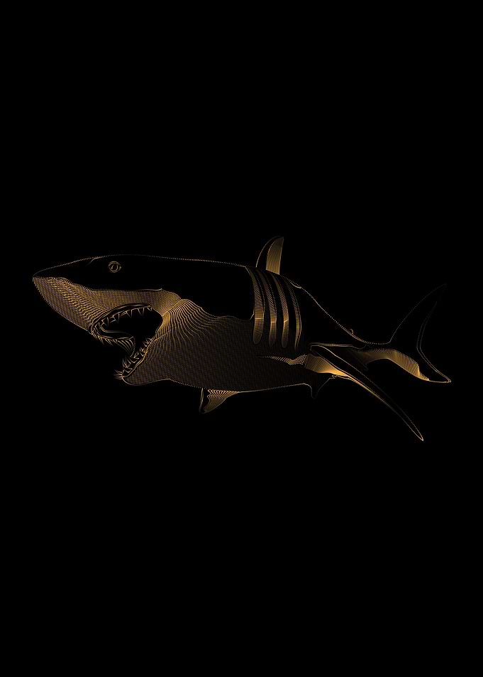 SHARK GOLD VECTOR ANIMALS