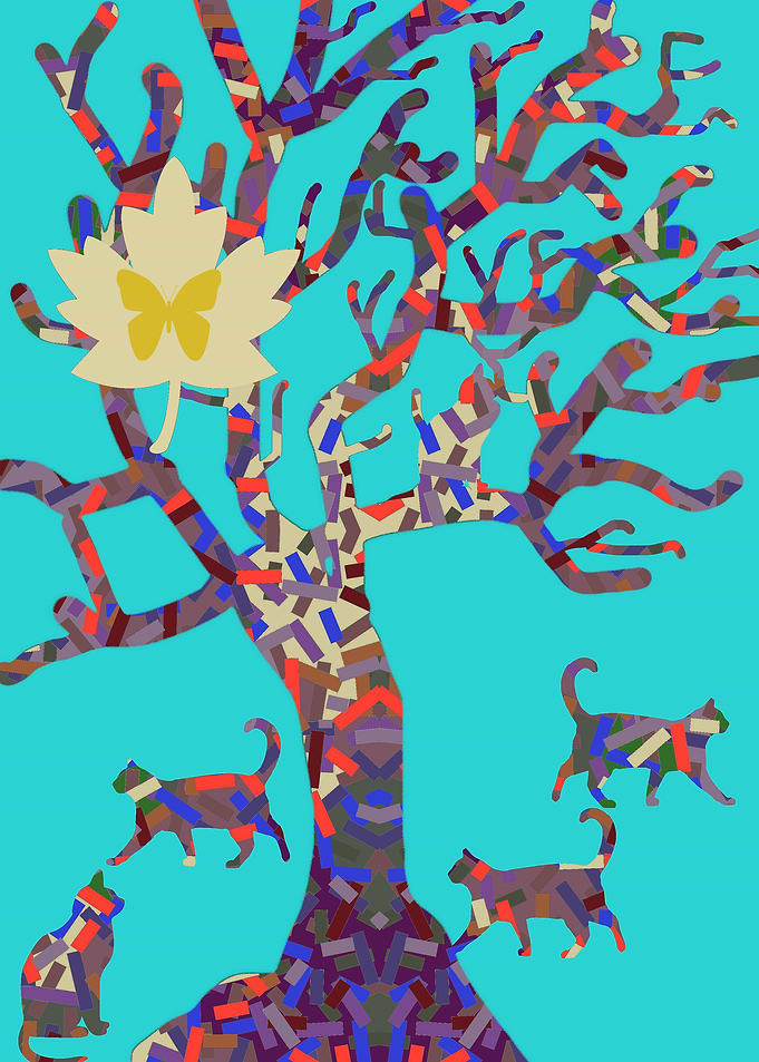 Cats