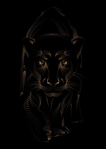 AFRICAN LIONESS