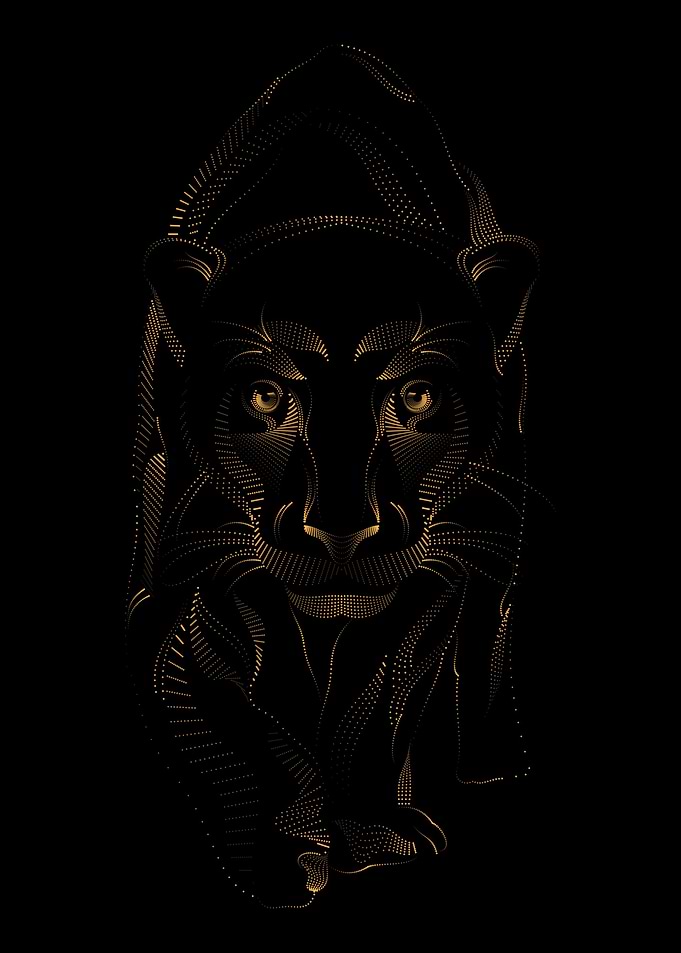AFRICAN LIONESS