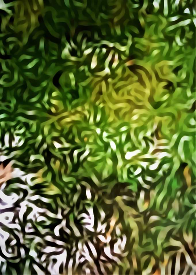 Abstract leaves in water