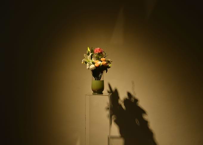 inside beauty never dies