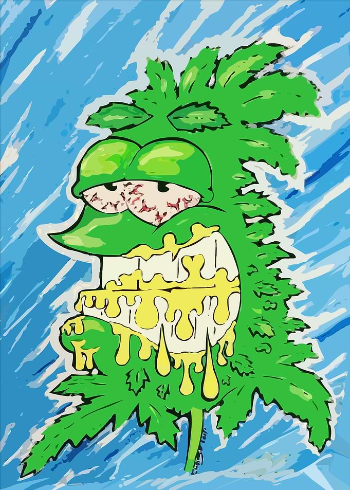 710 Bud