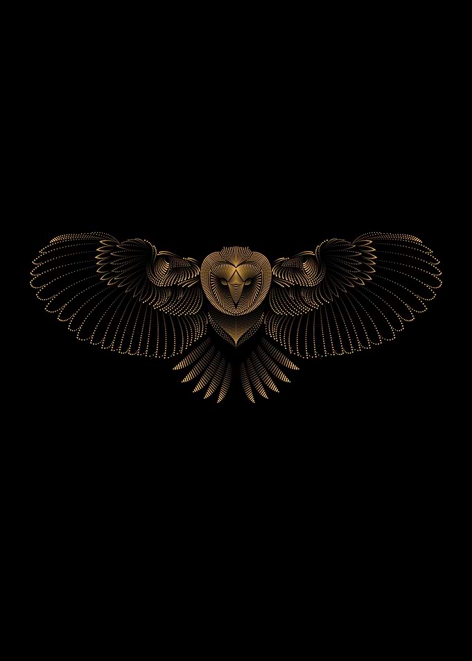 FLYING BIRD OPEN WINGS