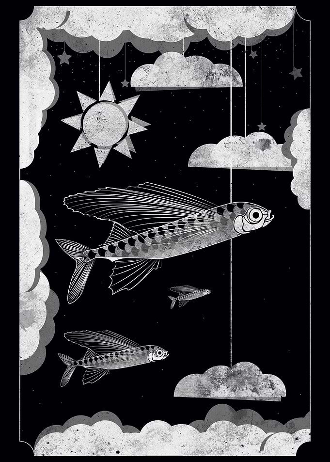 Flying fish