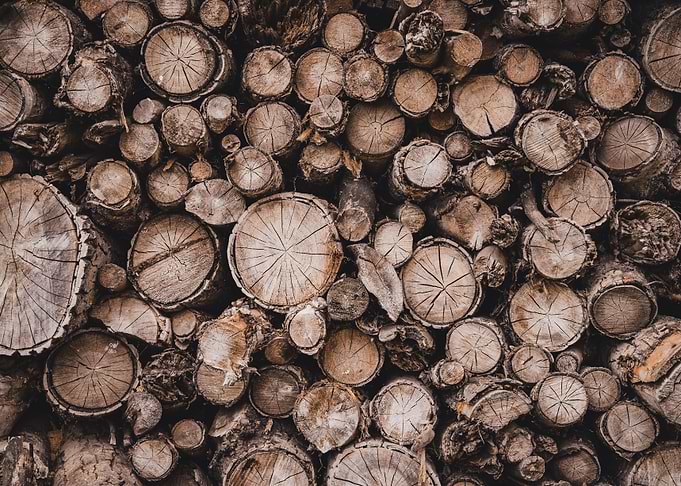 Wood logs pattern