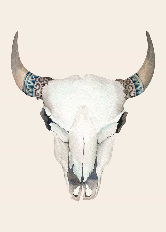 BOHO ETHNIC ANIMAL SKULL