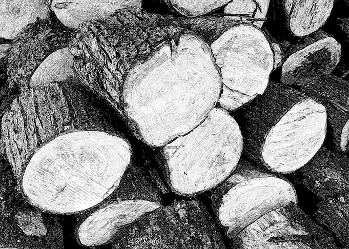 Cut Log Sketch
