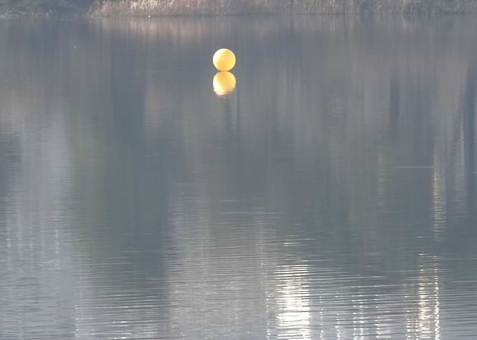 reflection