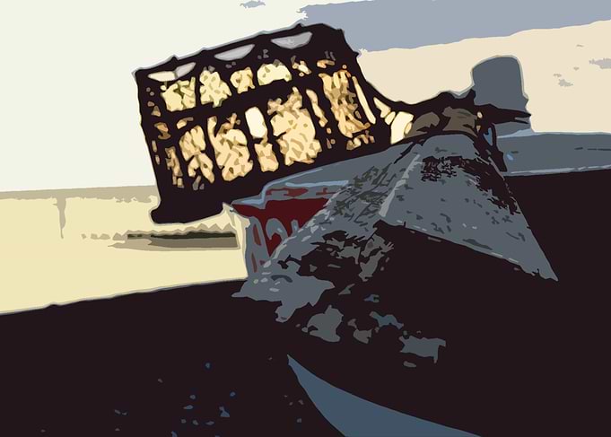 Oars and Lobster Net