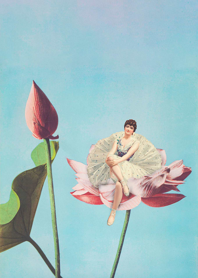 Little flower