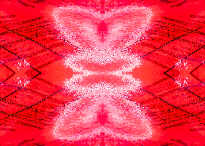Patterns from Nature